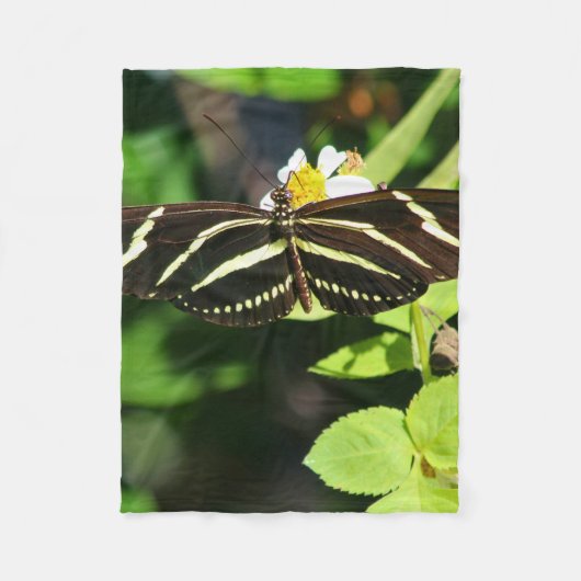 Zebra-Langflügel-Schmetterling Fleecedecke (Vorderseite)