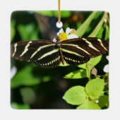 Zebra-Langflügel-Schmetterling Keramikornament (Rückseite)