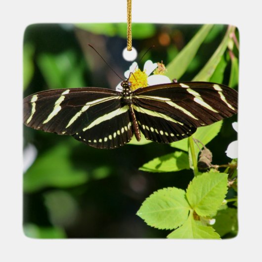 Zebra-Langflügel-Schmetterling Keramikornament (Rückseite)