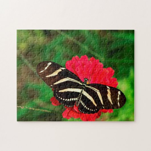 Zebra-Langflügel-Schmetterling. Puzzle (Horizontal)