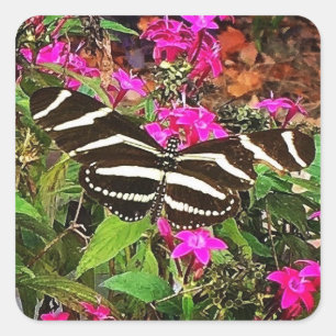 Zebra-Langflügel-Schmetterling Quadratischer Aufkleber