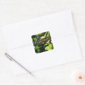 Zebra-Langflügel-Schmetterling Quadratischer Aufkleber (Umschlag)