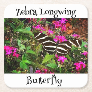 Zebra-Langflügel-Schmetterling Rechteckiger Pappuntersetzer