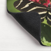 Zebra-Langschmetterling, Heliconius Mousepad (Ecke)