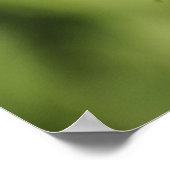 Zebra-Langschmetterling, Heliconius Poster (Ecke)