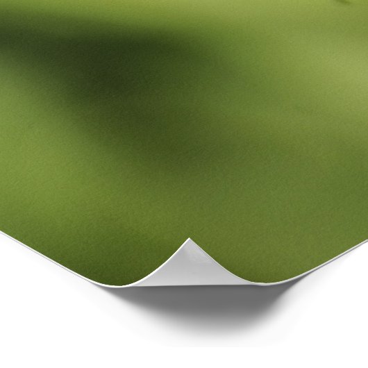 Zebra-Langschmetterling, Heliconius Poster (Ecke)