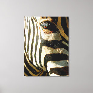 Zebra Leinwanddruck