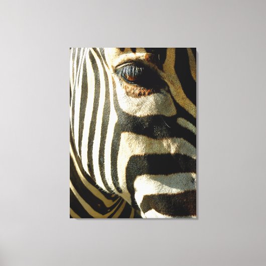 Zebra Leinwanddruck (Vorderseite)