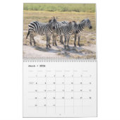 Zebra-Liebe 2021 Kalender (Mär 2026)