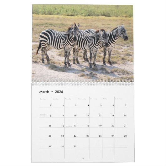 Zebra-Liebe 2021 Kalender (Mär 2026)