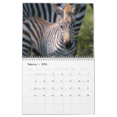 Zebra-Liebe 2021 Kalender (Feb 2026)