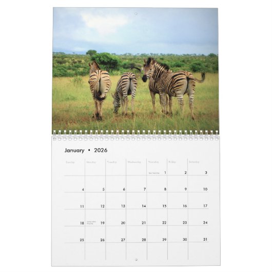 Zebra-Liebe 2021 Kalender (Jan 2026)