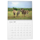 Zebra-Liebe 2021 Kalender (Jan 2027)