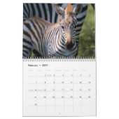 Zebra-Liebe 2021 Kalender (Feb 2027)