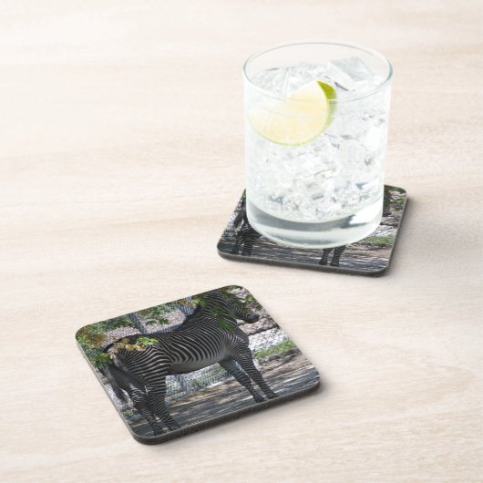 Zebra-Liebe Getränkeuntersetzer (Rechte Seite)