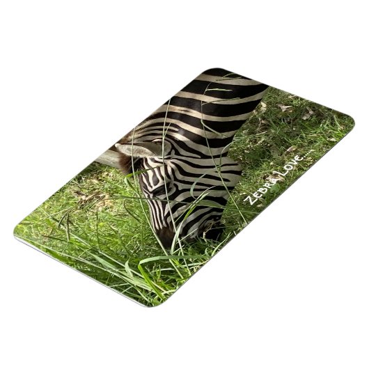 Zebra-Liebe...Magnet Magnet (Linke Seite)