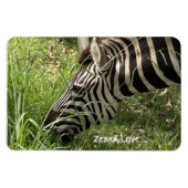 Zebra-Liebe...Magnet Magnet (Horizontal)