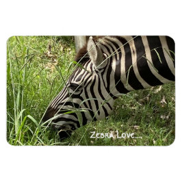 Zebra-Liebe...Magnet Magnet