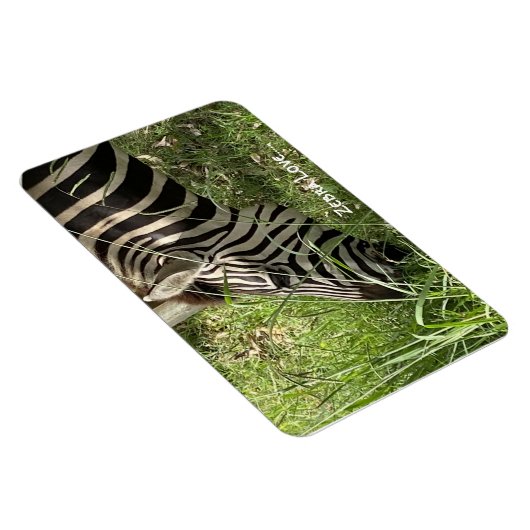 Zebra-Liebe...Magnet Magnet (Rechte Seite)