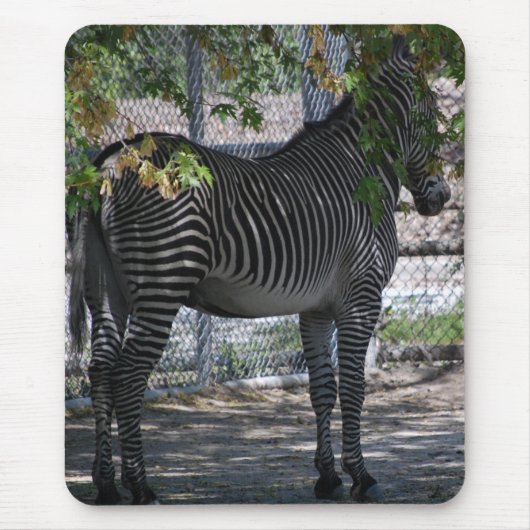 Zebra-Liebe Mousepad (Vorne)