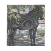 Zebra-Liebe Notizblock (Vorderseite)
