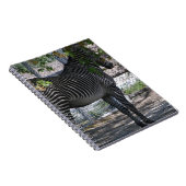 Zebra-Liebe Notizblock (Rechte Seite)