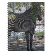 Zebra-Liebe Notizblock (Vorderseite)