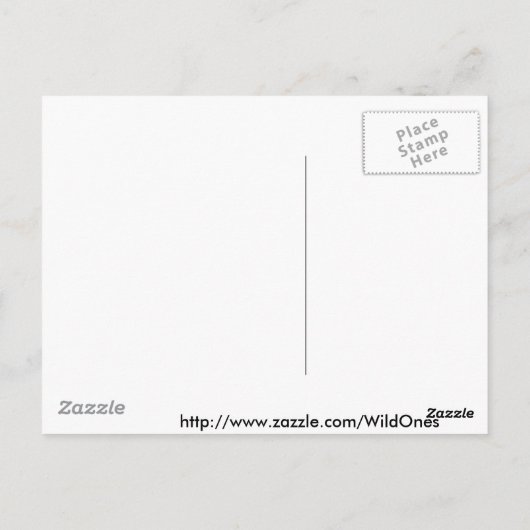 ZEBRA-LIEBE POSTKARTE (Rückseite)