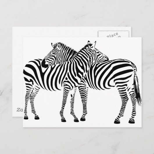 Zebra-Liebe Postkarte (Vorne/Hinten)