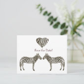 Zebra-Liebe Save the Date Ankündigungspostkarte (Stehend Vorderseite)