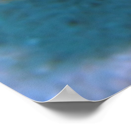 Zebra Lionfish Poster (Ecke)