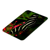 Zebra Long Wing auf Blume Magnet (Linke Seite)