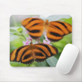 Zebra Long Wing Butterfly 2 Mousepad (Mit Mouse)