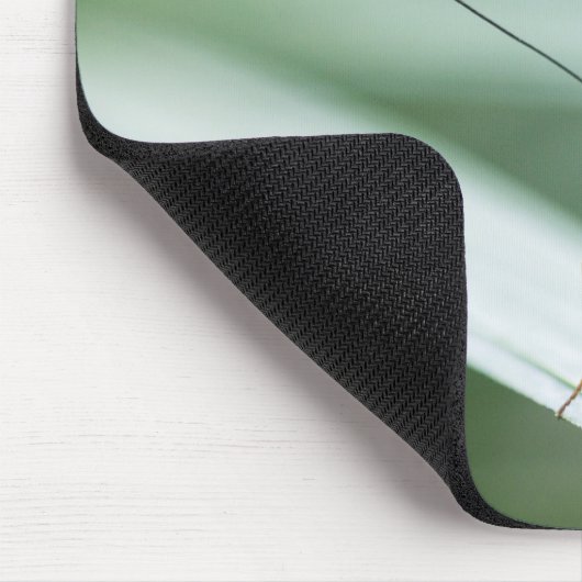 Zebra Long Wing Butterfly Mousepad (Ecke)