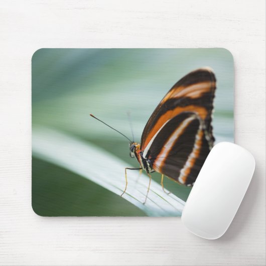 Zebra Long Wing Butterfly Mousepad (Mit Mouse)