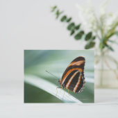 Zebra Long Wing Butterfly Postkarte (Stehend Vorderseite)