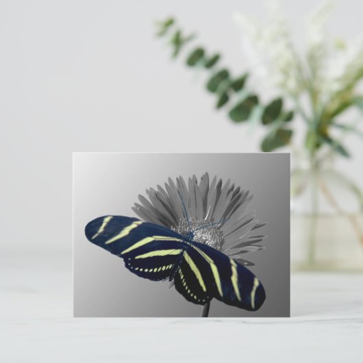 Zebra Longtail auf einem Daisy Postkarte (Stehend Vorderseite)