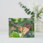Zebra Longwing Butterflies, FL - Postkarte (Stehend Vorderseite)