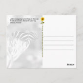 Zebra Longwing Butterflies, FL - Postkarte (Rückseite)