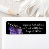 Zebra Longwing Butterfly (Insitu)