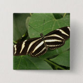 Zebra Longwing Butterfly Button (Vorderseite)