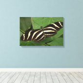 Zebra Longwing Butterfly Canvas Print Leinwanddruck (Insitu (Holzboden))