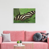 Zebra Longwing Butterfly Canvas Print Leinwanddruck (Insitu (Wohnzimmer))
