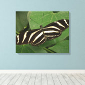 Zebra Longwing Butterfly Canvas Print Leinwanddruck (Insitu (Holzboden))