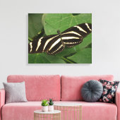 Zebra Longwing Butterfly Canvas Print Leinwanddruck (Insitu (Wohnzimmer))