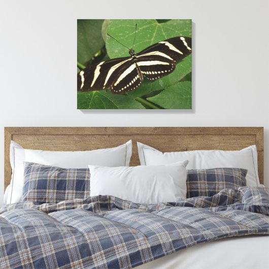 Zebra Longwing Butterfly Canvas Print Leinwanddruck (Insitu (Schlafzimmer))
