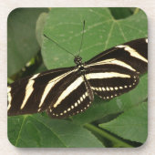 Zebra Longwing Butterfly Cork Untersetzer (Vorderseite)