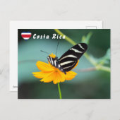 Zebra Longwing Butterfly - Costa Rica Postkarte (Vorne/Hinten)