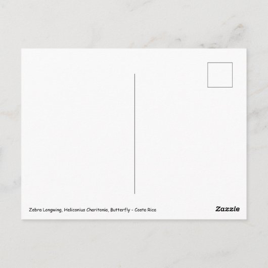 Zebra Longwing Butterfly - Costa Rica Postkarte (Rückseite)