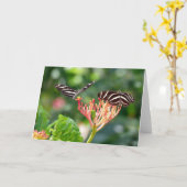 Zebra Longwing Butterfly, FL - Karte (Gelbe Blume)